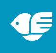 zenit